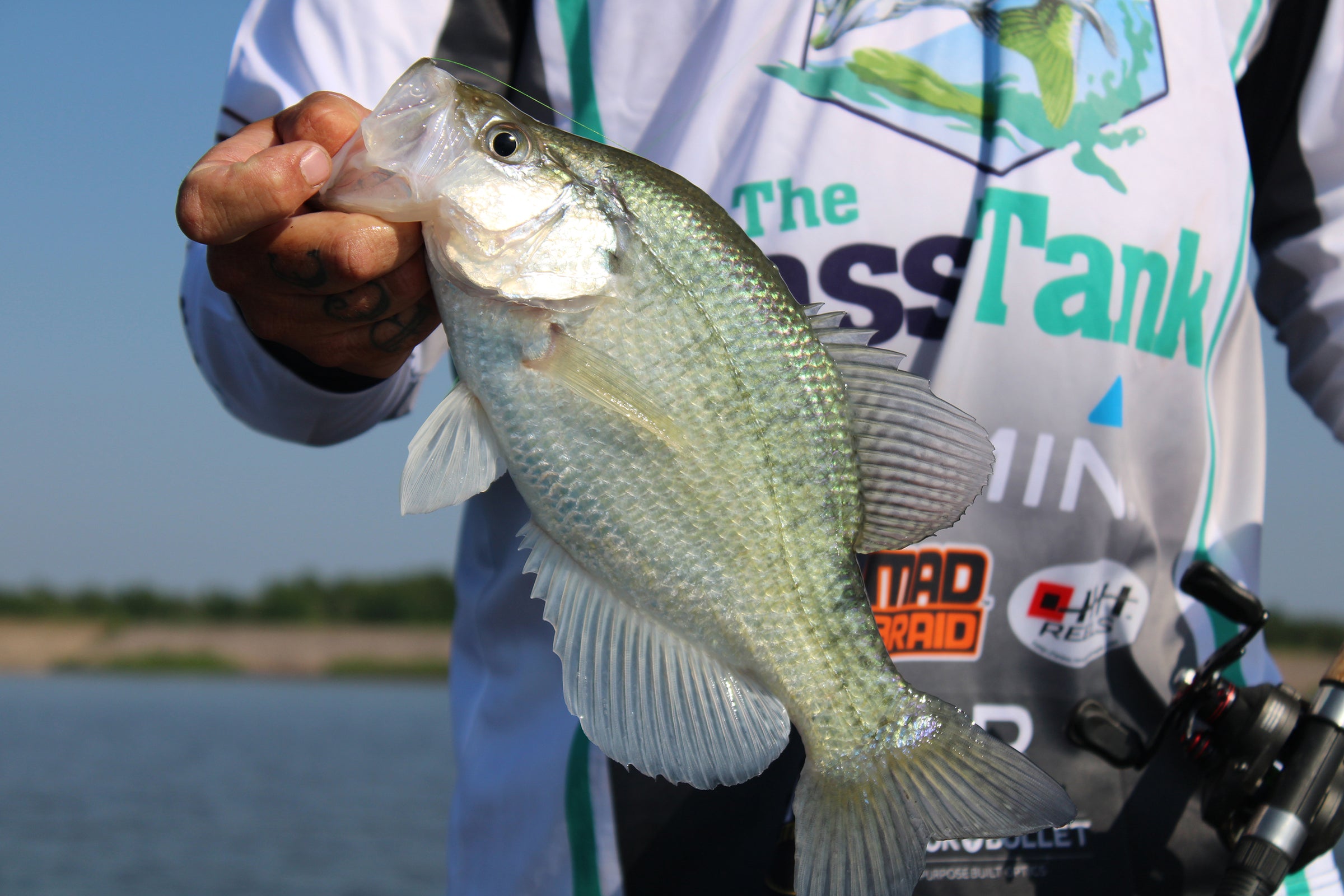 crappie fishing with braided line K9 05lb Yellow 4 Strand Braid 300 yds you could sew with it Crappie Fishing Braid 4 lb.