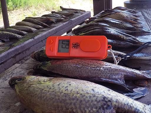 Fish Counter Pro The Button! Digital Fish Counter – MadFishen